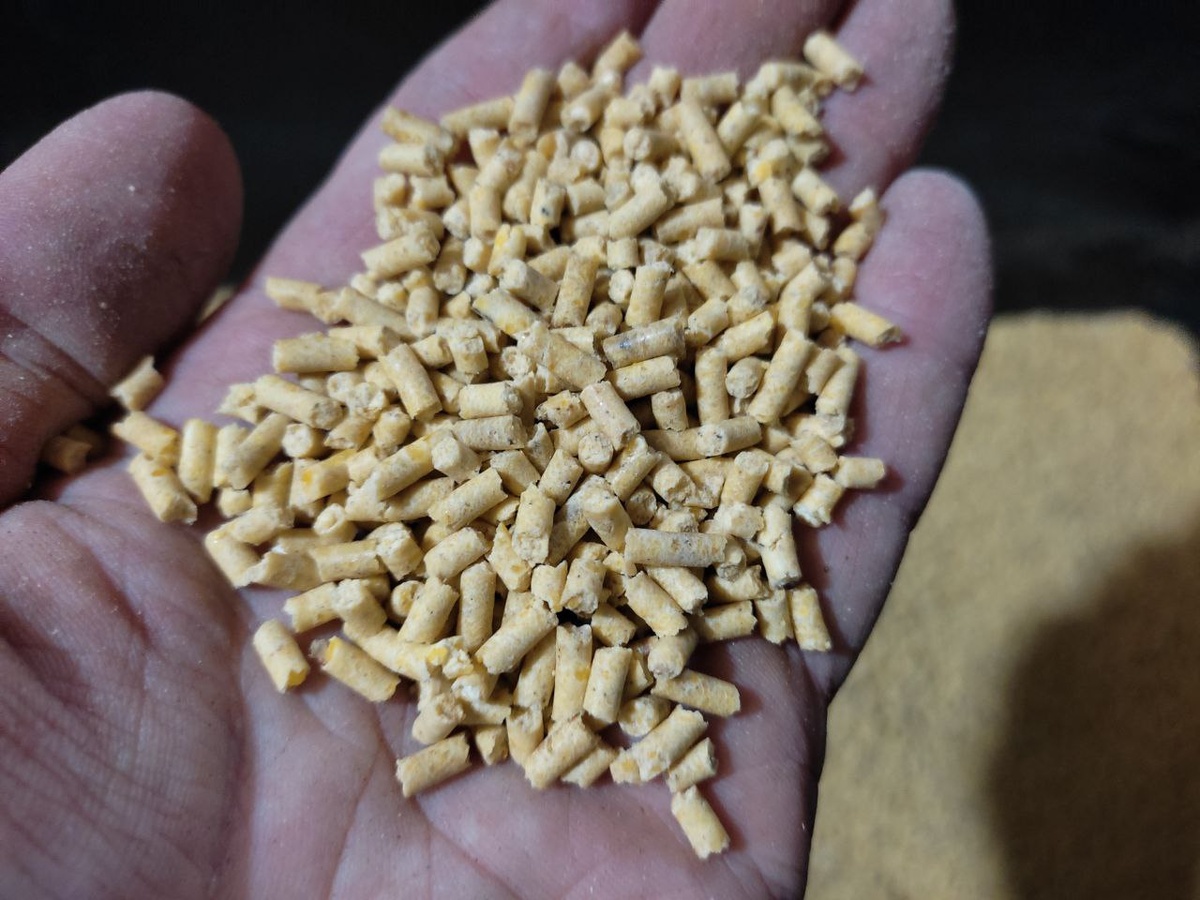 Гранулированная кукуруза