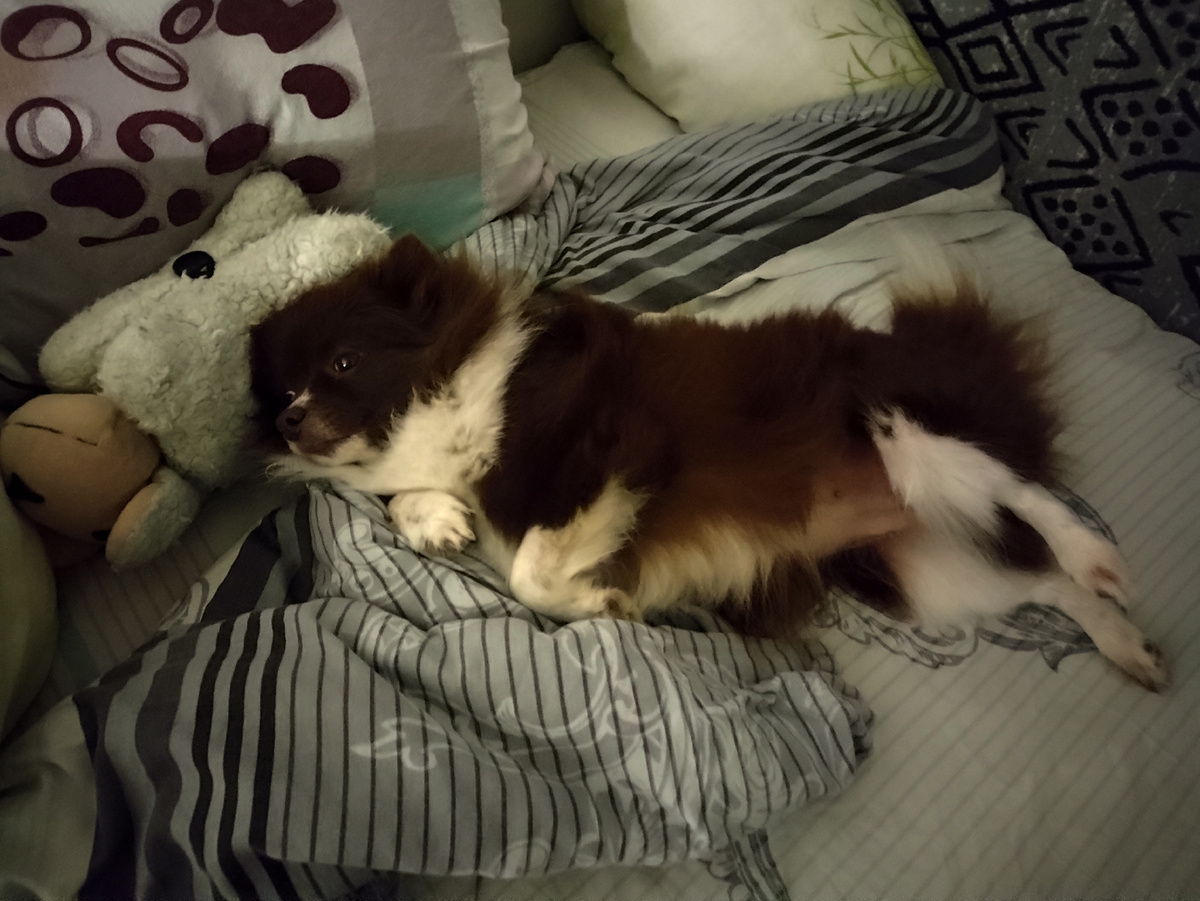 Хорошо лежим....