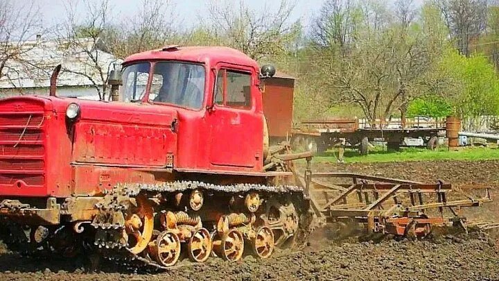 Этот знаменитый трактор узнаваем в поле и сейчас