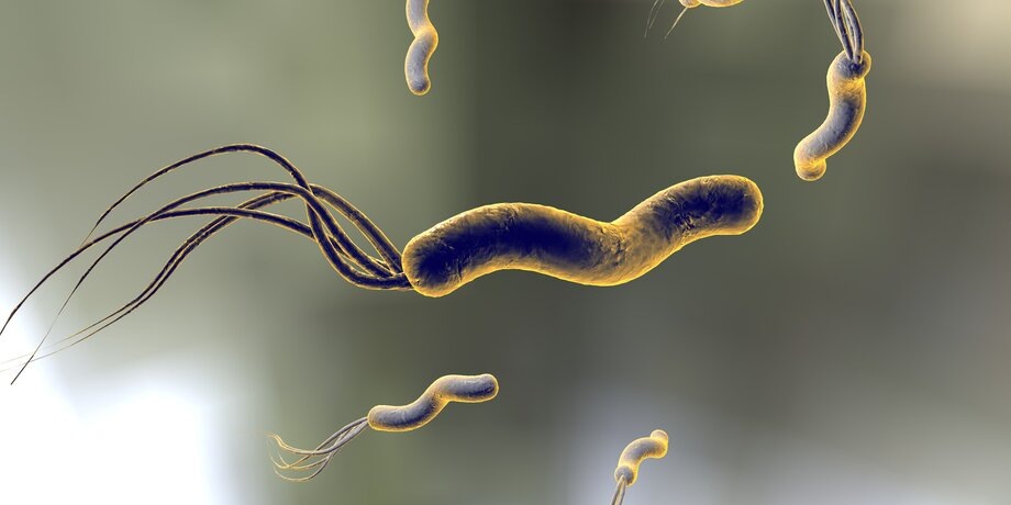 Фото: 123RF/drmicrobe