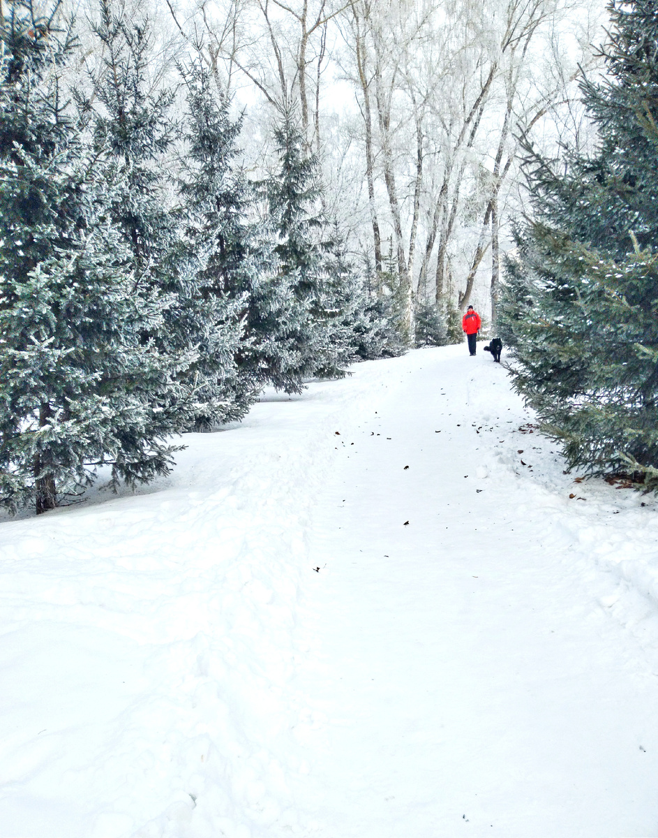 Где-то на просторах моего города. Фотография автора, ноябрь 2024 года. 