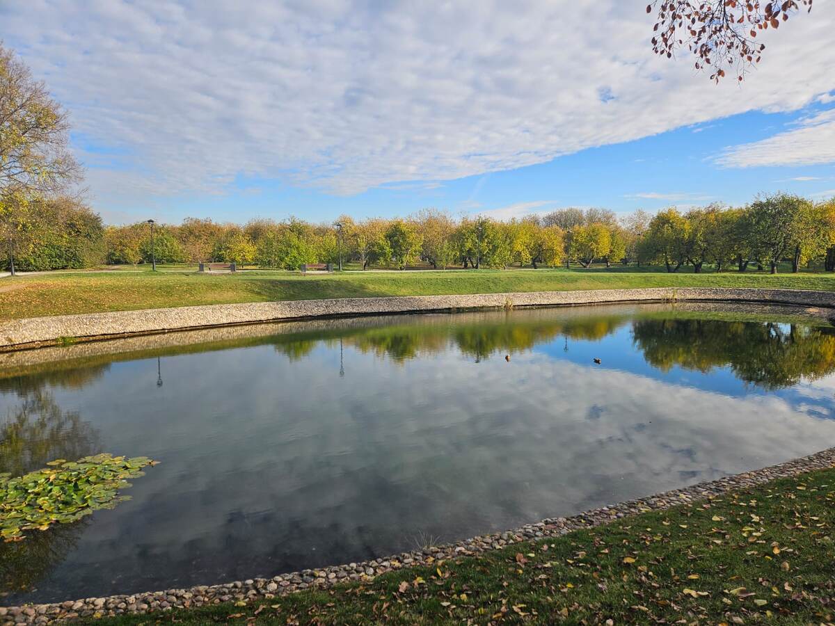 Пруд в парке усадьбы Коломенское