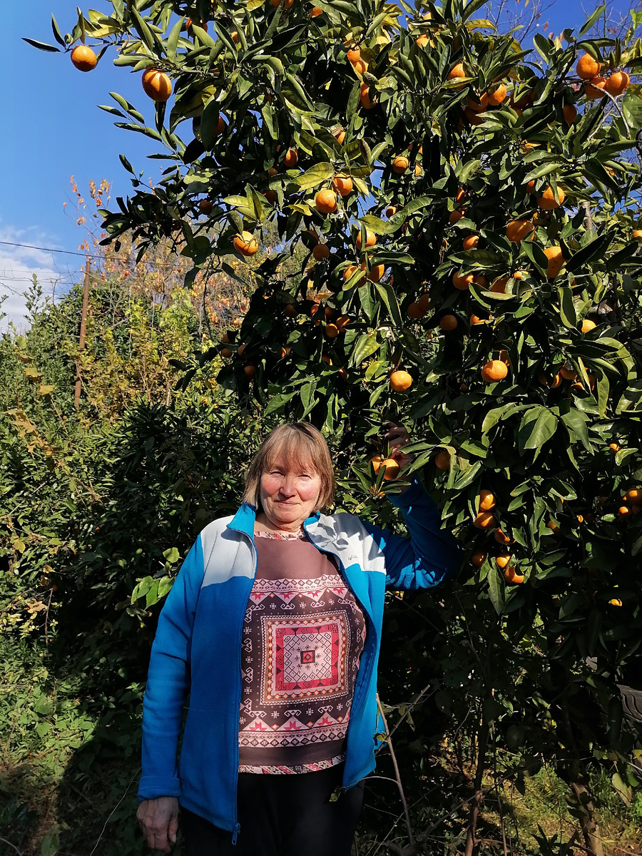 В саду мандариновом. 