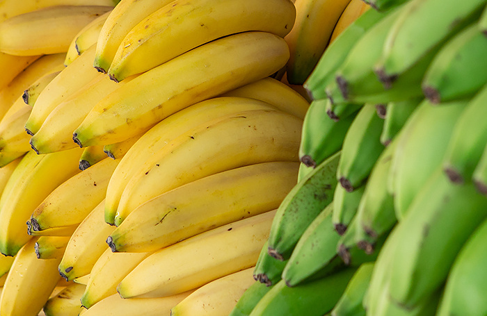    dpa/picture-alliance/ТАСС