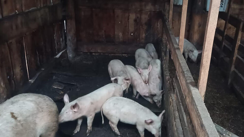 Фото: © Прокуратура РФ