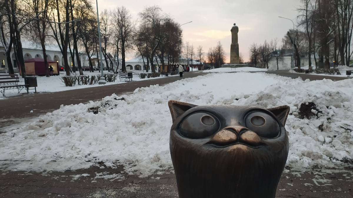 Сусанинский сквер, Кострома, 27 ноября