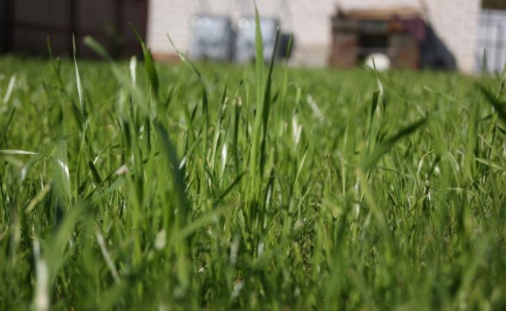    фото из архива КИ