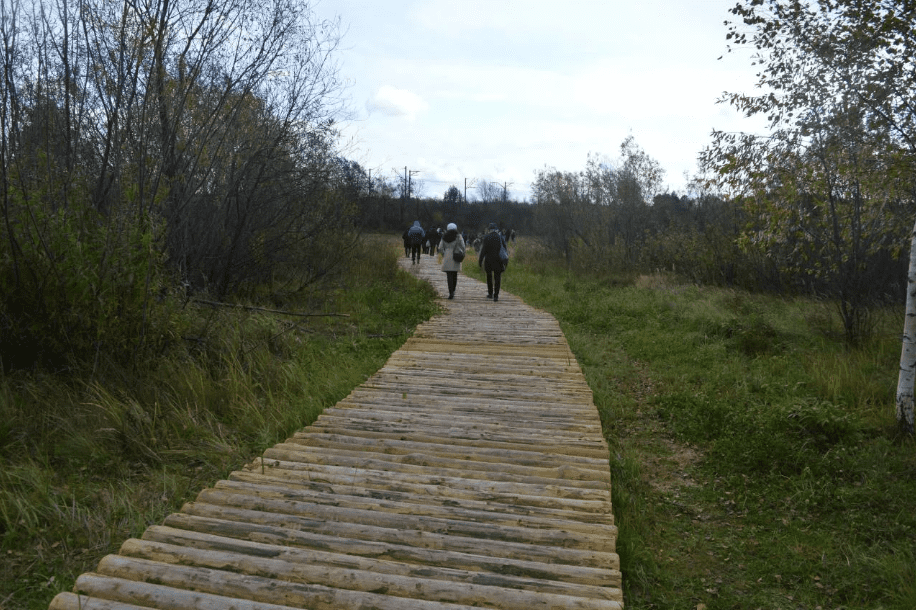    Фото: Управление по экологии и природопользованию администрации города Перми Полина Анкушина