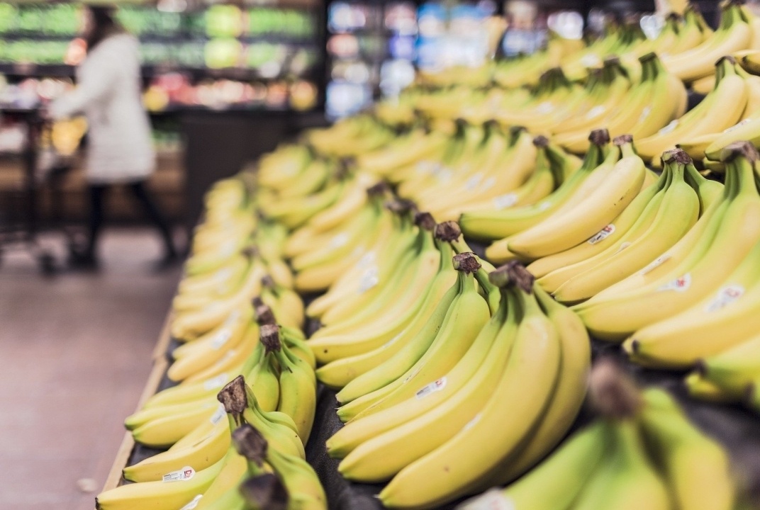    Минсельхоз России заинтересовался опытом Казахстана по выращиванию бананов