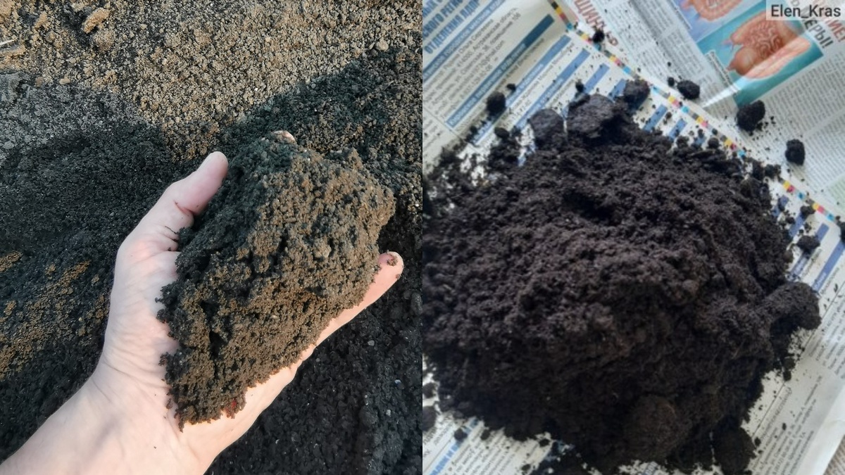 Результат восстановления почвы: слева - истощенный грунт, справа - после внесения удобрений