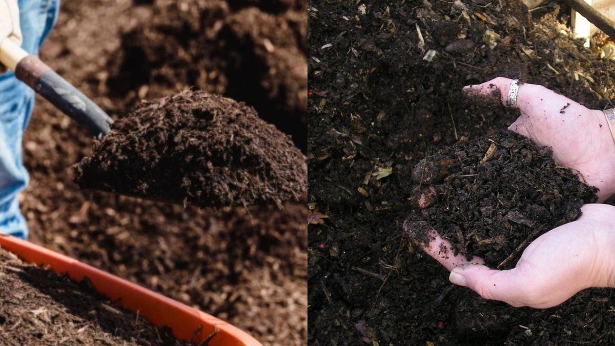 Внесение перегноя с точной дозировкой на каждый квадратный метр