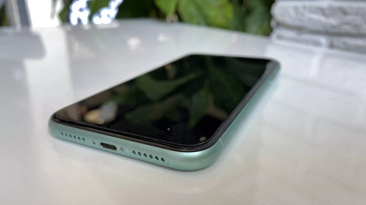    Фото: телеканал «Краснодар»