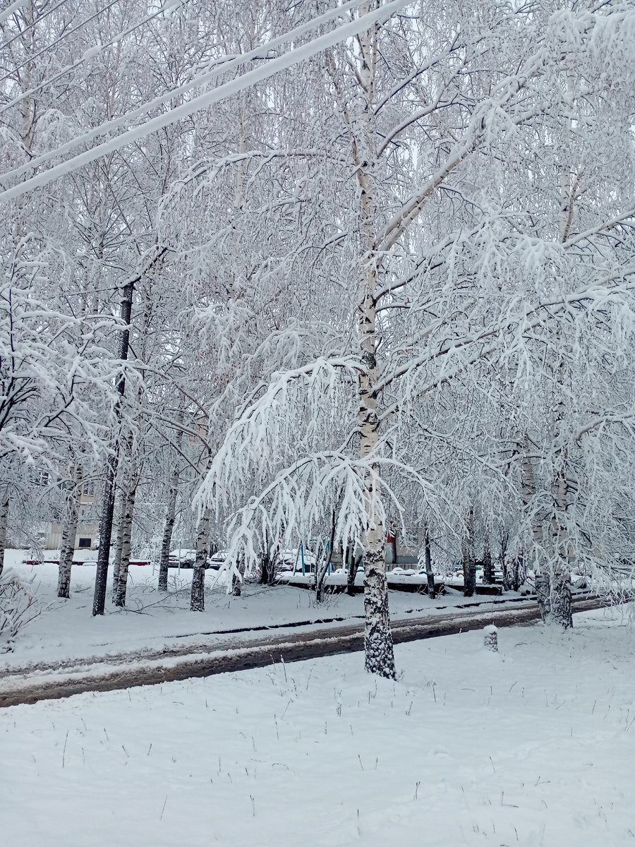 Соседний двор.