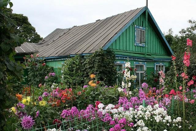 Из открытого доступа