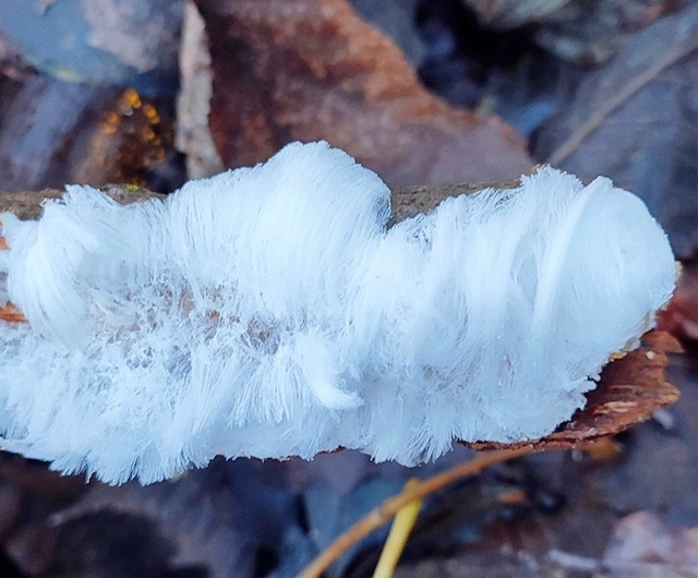    Ледяные волосы рассыпаются, едва до них дотронешься