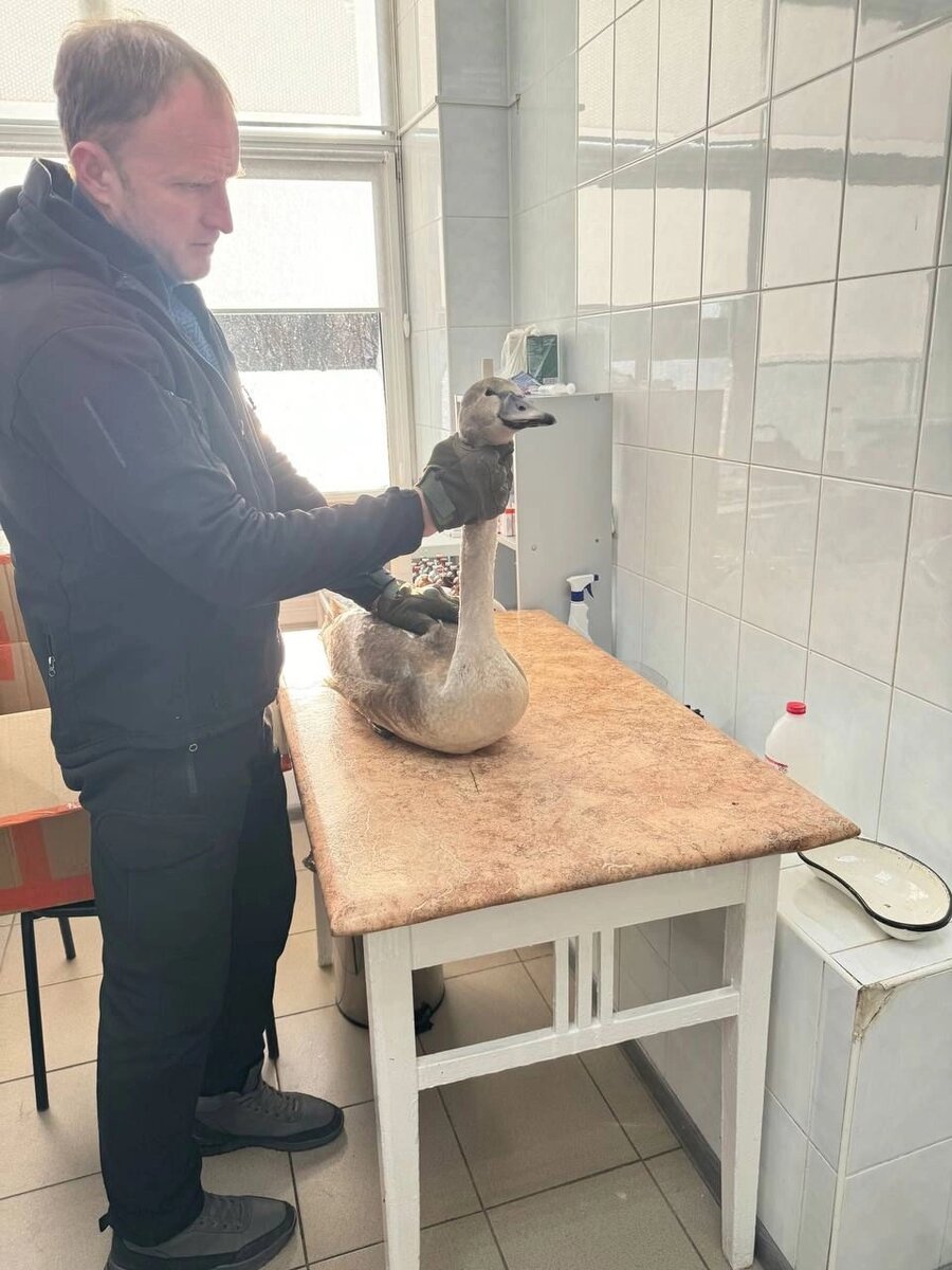    Фото: Министерство природных ресурсов и экологии Ульяновской области