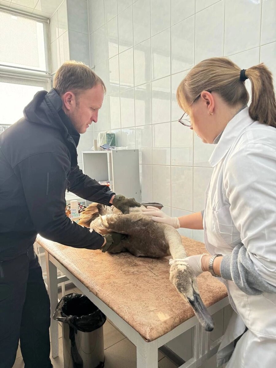    Фото: Министерство природных ресурсов и экологии Ульяновской области