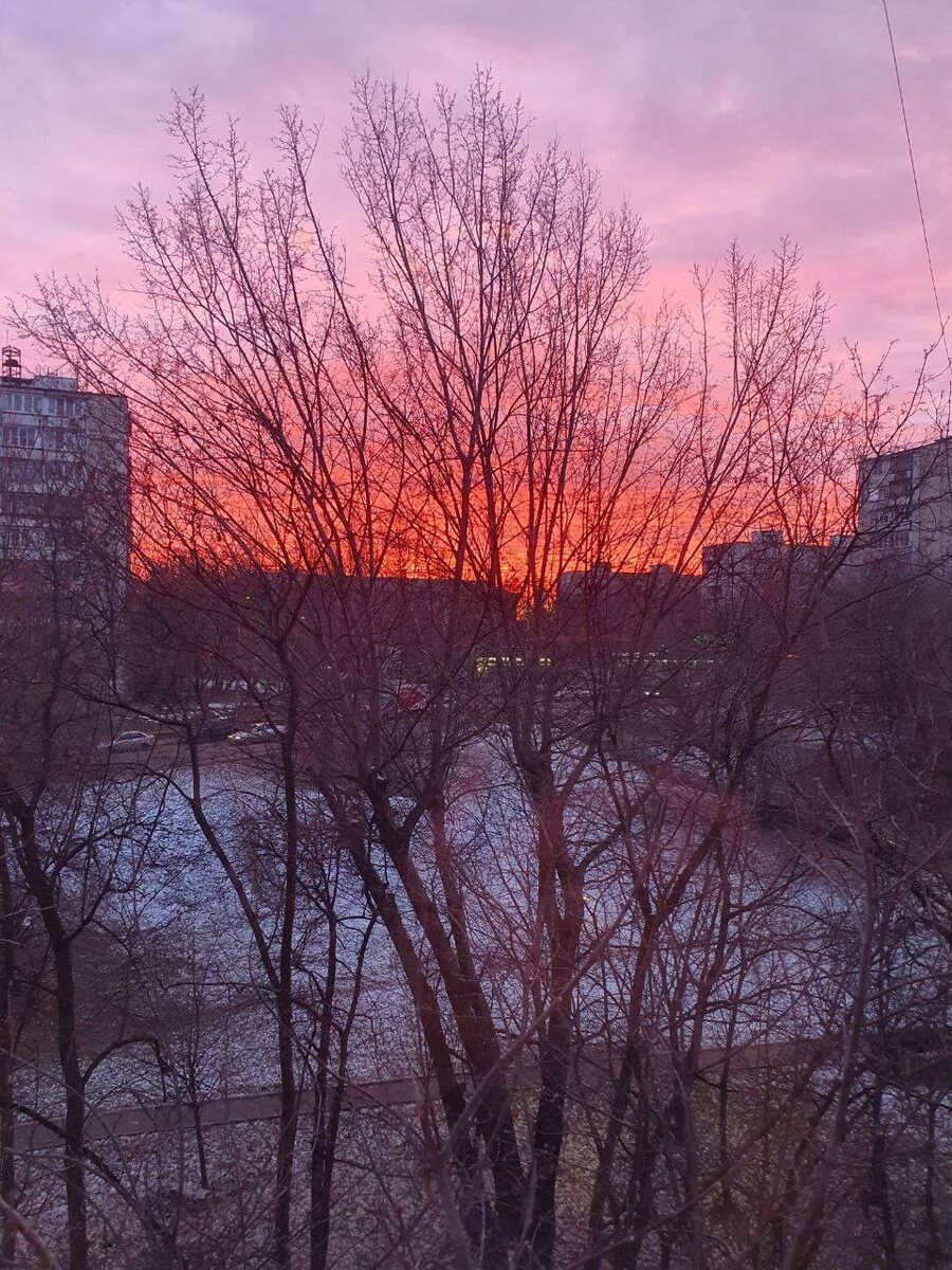 Рассвет 26 ноября 2024