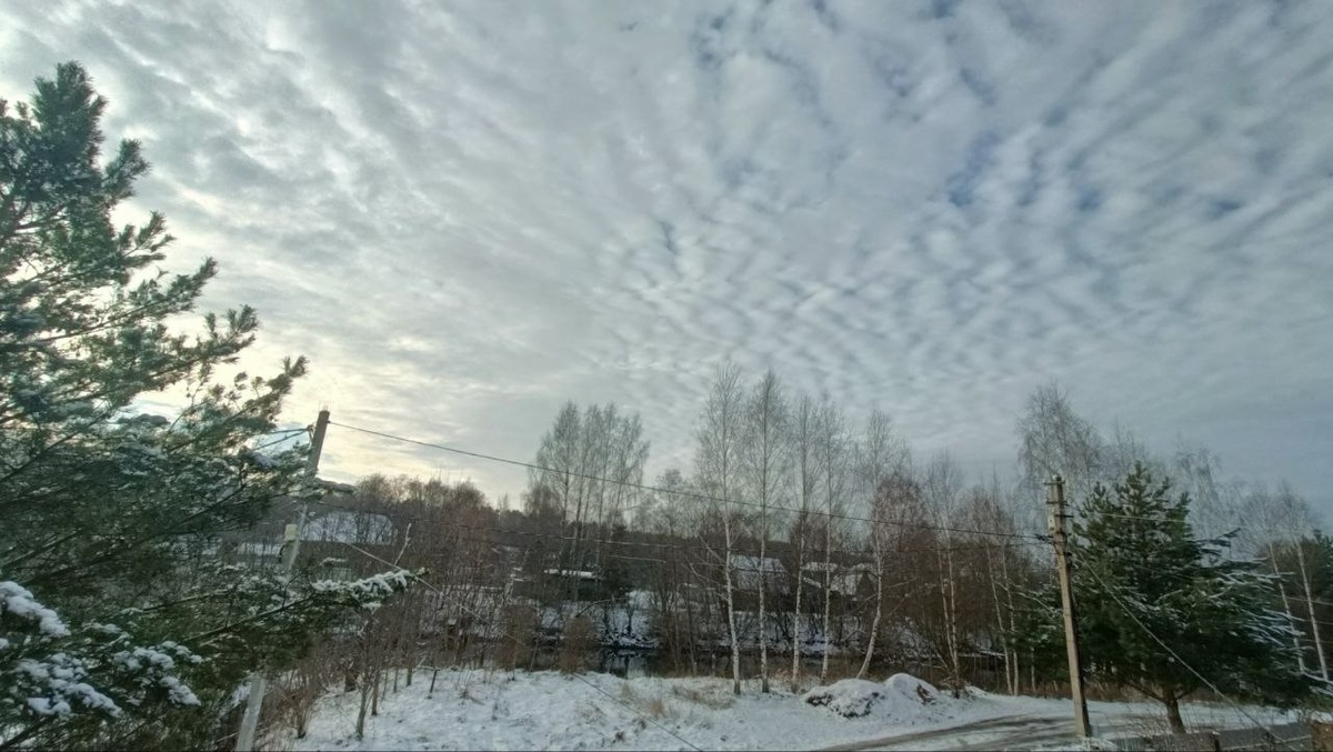 День 26 ноября 2024