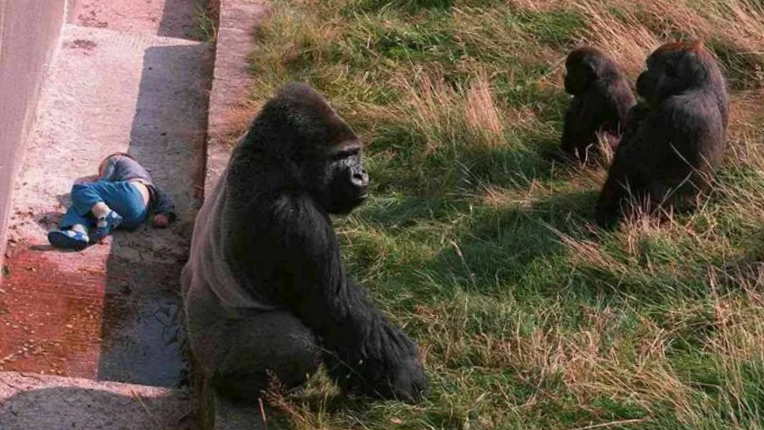 С дороги, охранется золото!