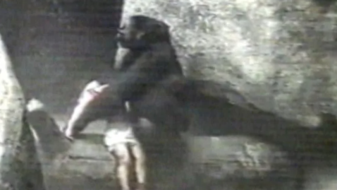 Настоящий кадр с камеры того времени.