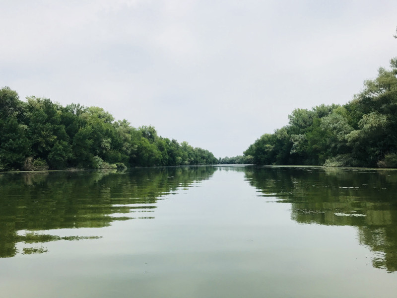 Широченный ерик Гнилой даже в самое засушливое лето