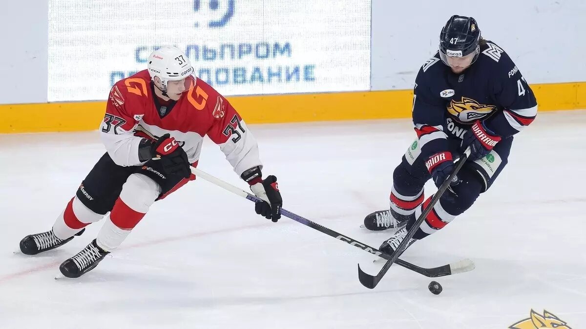     Источник: ХК «Металлург»