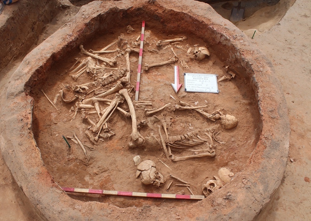 Райковецкое городище