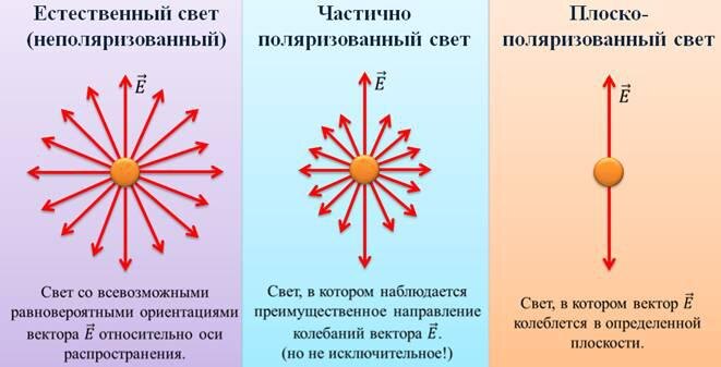 Поляризация света