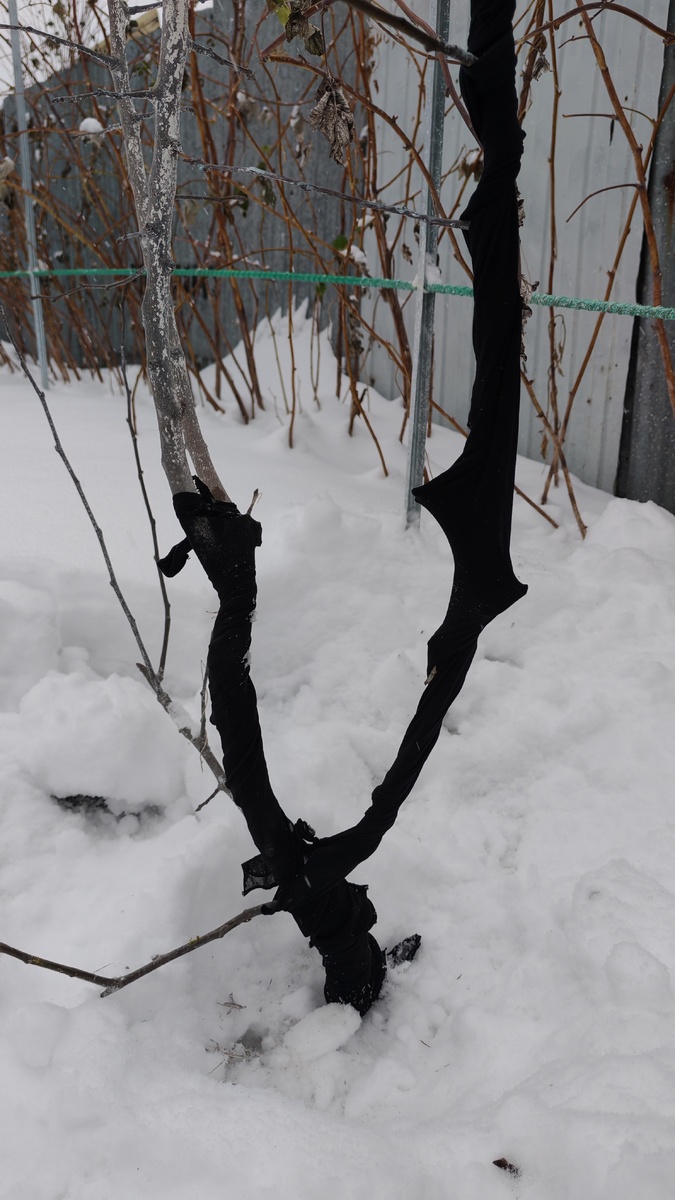 Самое главное - крепко обмотать центральный ствол и толстые ветви