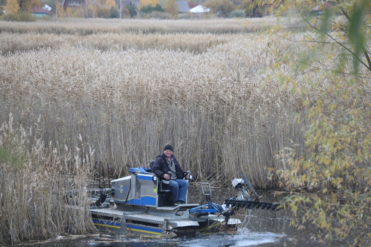 Фото: "Природный парк "Птичья гавань"