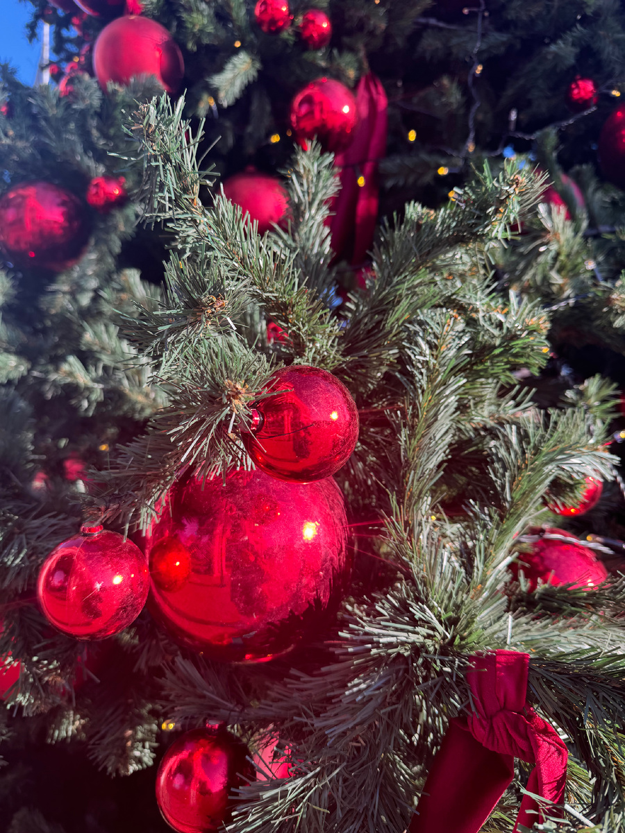 #AstrologyNelly #радость #волшебство #гороскоп