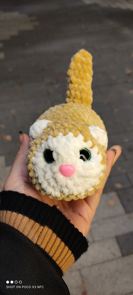 СВЯЗАЛСЯ ЛАСКОВЫЙ КОТИК

ЦВЕТ БЕЖЕВЫЙ С БЕЛЫМ

В НАЛИЧИИ

ЦЕНА 600 РУБЛЕЙ

ЦЕНЫ НА ИГРУШКИ ОПТОВЫЕ 🔥🔥

ОПТ ОТ 5 ШТУК - 520 РУБЛЕЙ ЗА 1 ШТУКУ
ОПТ ОТ 10 ШТУК - 490 РУБЛЕЙ ЗА 1 ШТУКУ

ПРИОБРЕСТИ ИГРУШКУ, ОФОРМИТЬ ЗАКАЗ ВЫ МОЖЕТЕ  НАПИСАТЬ МНЕ В ДИРЕКТ @vasiliantsk

ПОЧТОВЫЕ РАСХОДЫ ОПЛАЧИВАЮТСЯ ОТДЕЛЬНО

ИГРУШКА СДЕЛАННАЯ СВОИМИ РУКАМИ- ЭТО НЕЧТО ОСОБЕННОЕ МИЛОЕ И УДИВИТЕЛЬНОЕ
100% - РУЧНАЯ РАБОТА 

ЛАСКОВЫЙ КОТИК  - САМАЯ МИЛАЯ ИГРУШКА ДЛЯ ДЕТЕЙ ЭТОГО СЕЗОНА.

ПОРАДУЙТЕ СЕБЯ И СВОИХ БЛИЗКИХ КАЧЕСТВЕННЫМИ МОДНЫМИ ИГРУШКАМИ ЭТОГО СЕЗОНА. 

Использовала крючок 2.5
Узор столбик без накида. 
Глазки на безопасном креплении
Наполнитель: Синтепон Гамма шарики. 

ЕСЛИ ВЫ ХОТИТЕ ПОДДЕРЖАТЬ МОЙ КАНАЛ! БУДУ ВАМ ОЧЕНЬ БЛАГОДАРНА
СБ  2202 2061 3046 1135  КРИСТИНА АЛЬБЕРТОВНА В.

С УВАЖЕНИЕМ, ВАША ВЯЗАЛЬЩИЦА  КРИСТИНА😘

#васильянцкристина  #коткрючком #игрушкакрючком #люблювязать  #люблювязатьвсочи #сочи24  #вязаныеигрушкиоптом #котвподарок #вяжунетужу #котикоптом #игрушкакотик #амигуруми  #вяжукрасиво  #вяжуигрушки #вяжуназаказ  #котигрушкакрючком #котигрушка #котдлямалышей #вяжу #игрушкиоптом #игрушкидлядетской #handmade  #игрушкидетям  #игрушкикрючком #перваябеременность #семьяидети #игрушкаручнойработы #ручнаяработасочи #игрушкидлядетей #ласковыйкотик #crochet #оптовыецены #игрушкакот #игрушкадлядетей #оптовыепродажи  #оптовыйзаказ