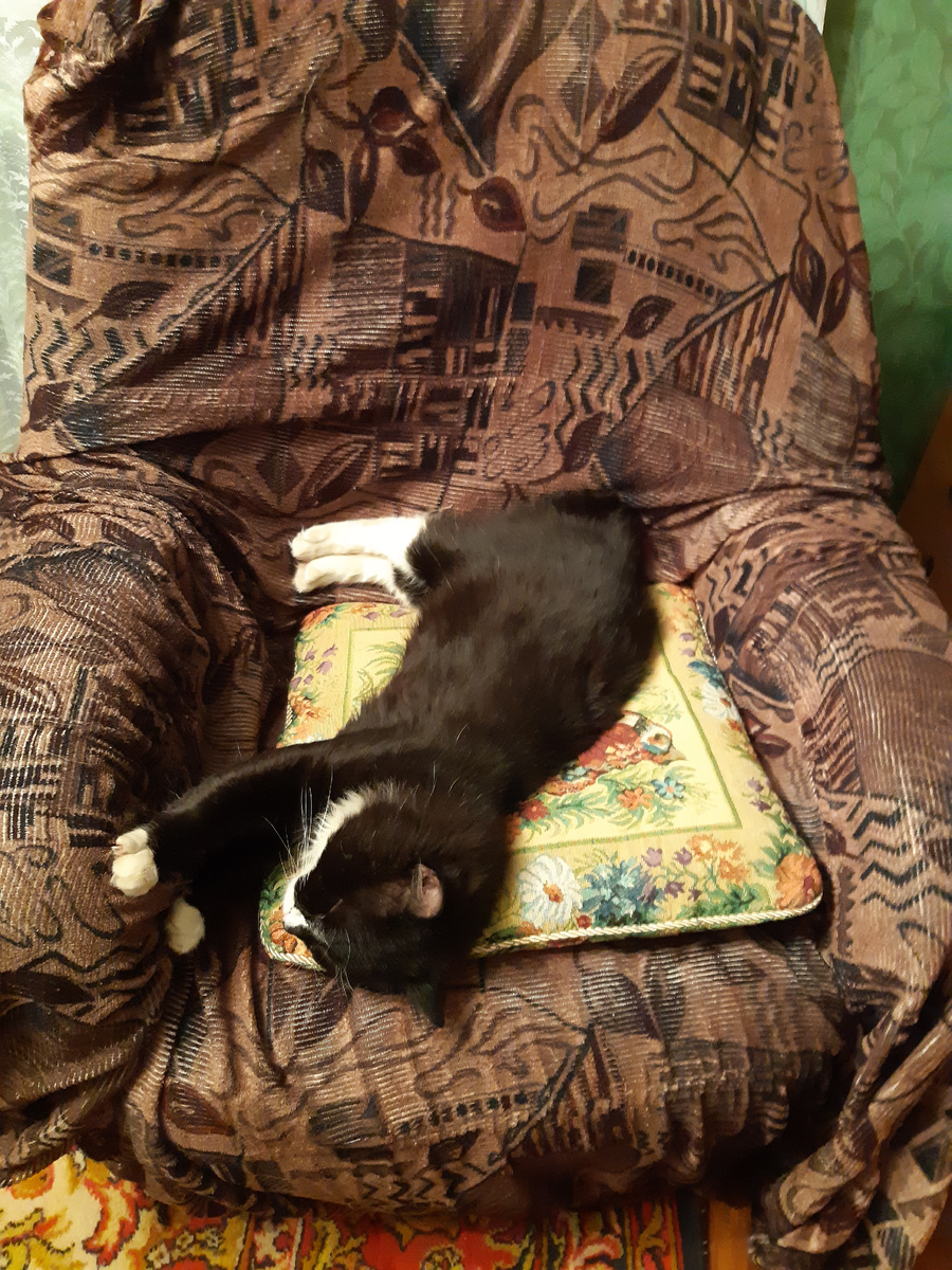 Это его Родина)