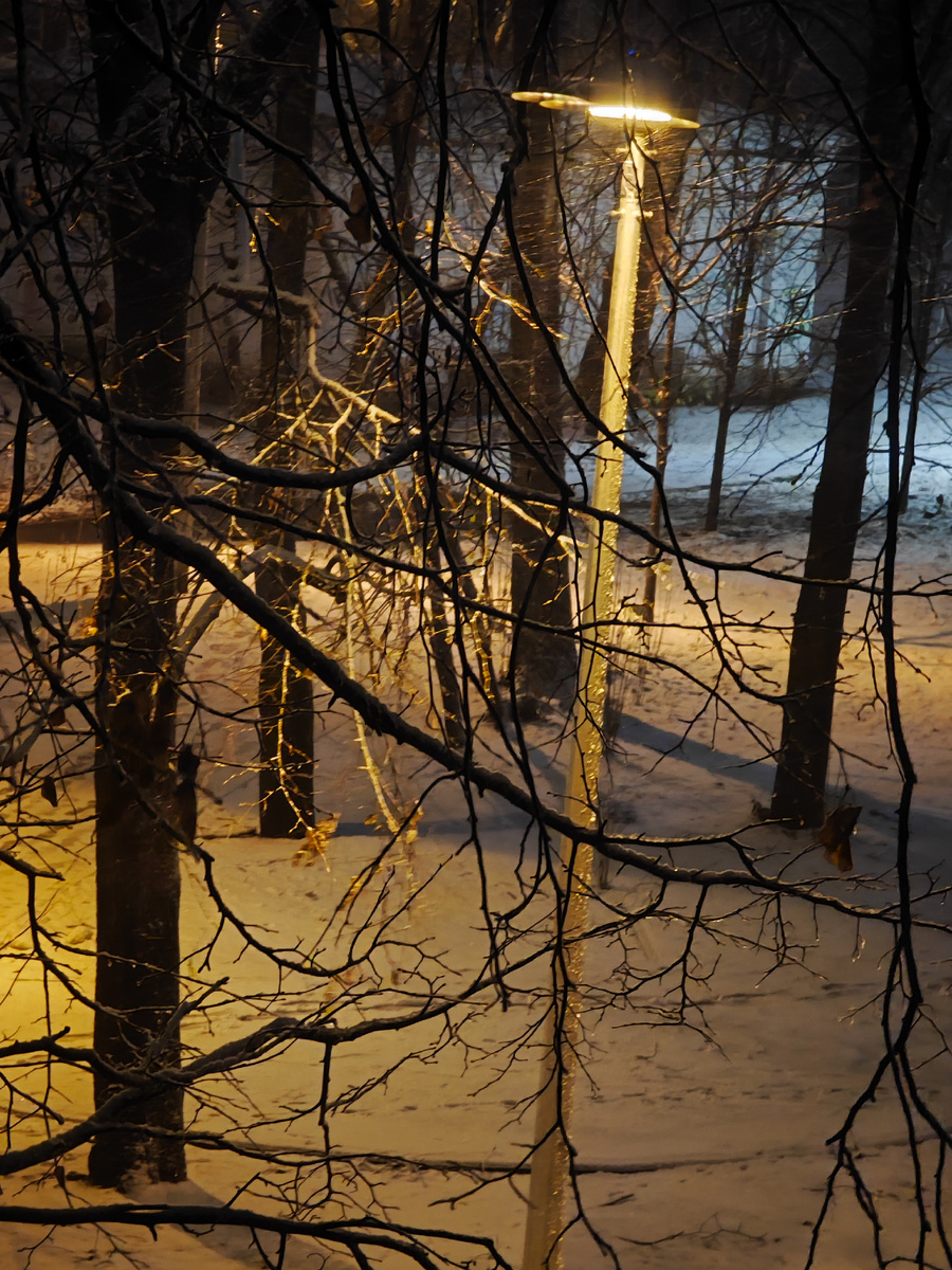 Осенняя зима, или зимняя осень (24 ноября 2024)