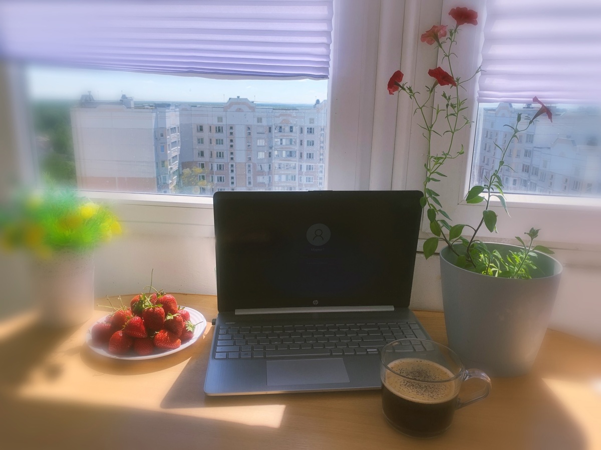 Утро фрилансера