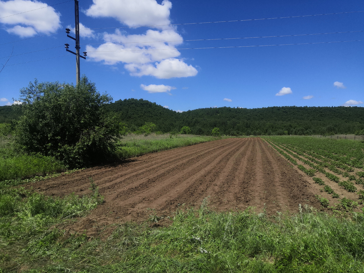 Просто бомбическая фотка.