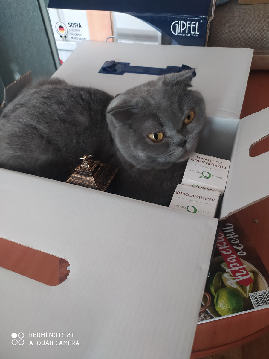 А это моя Шаня,сюрприз в коробочке🤣