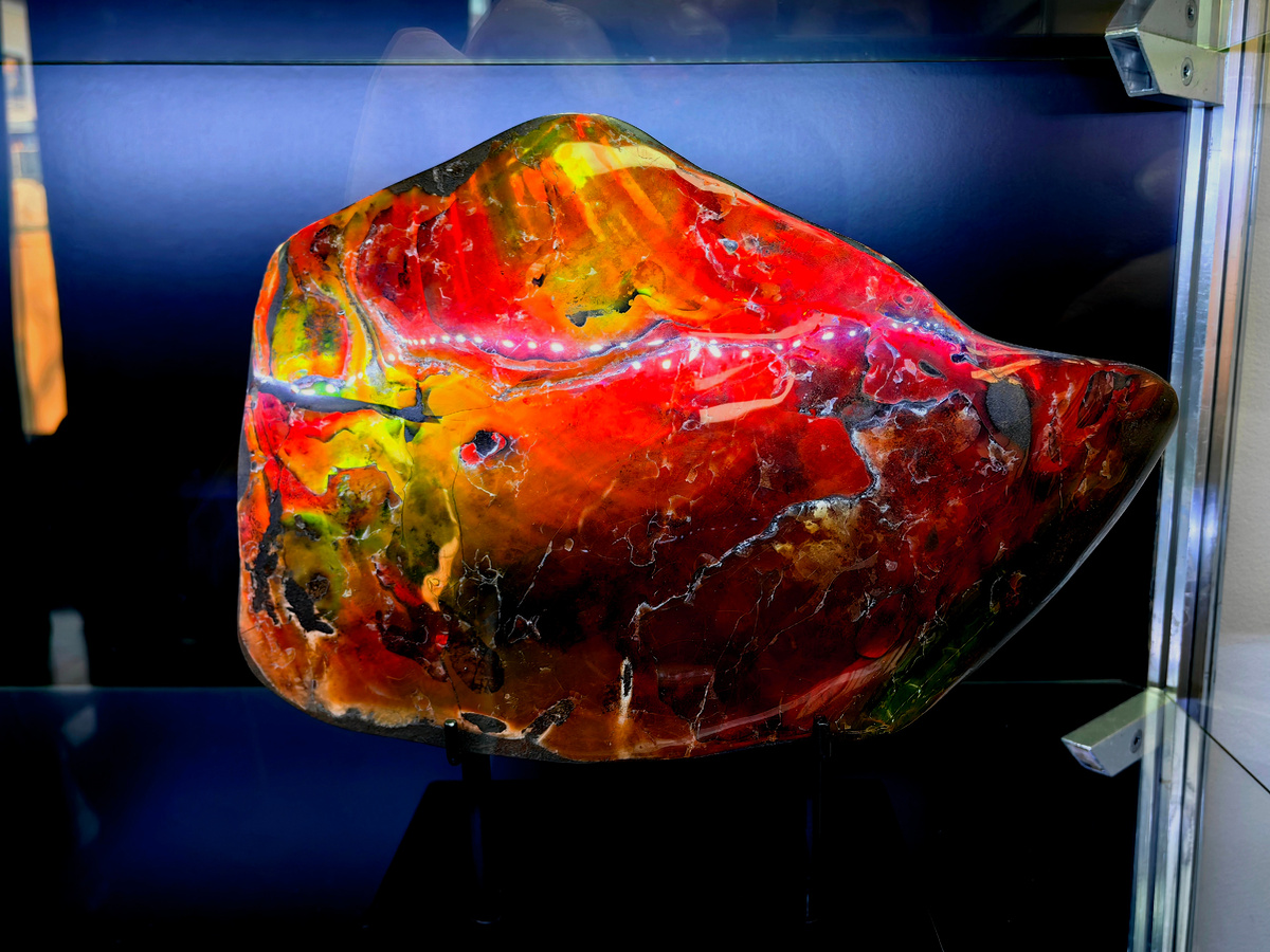 аммолит, Красноярский край, река Тальми