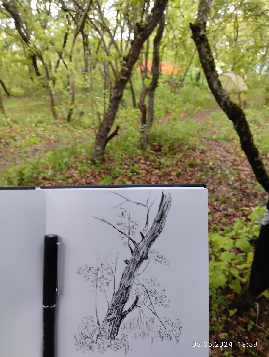 Зарисовка на хайлайн фестивале близ Кисловодска. 