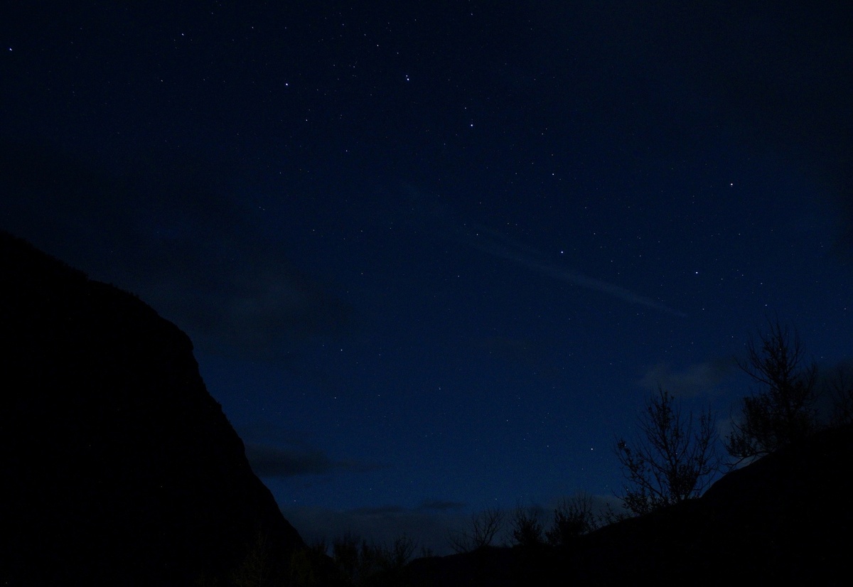 Большая Медведица в небе, фото автора