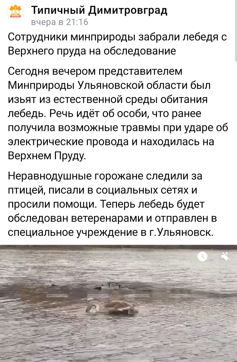 Скрин с ленты новостей