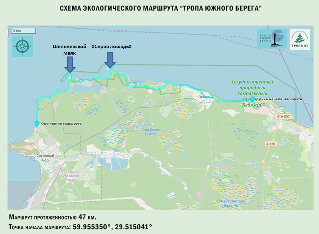 Такая вот мегаэкотропа... Стрелками показаны места, о которых пойдет речь ниже. 