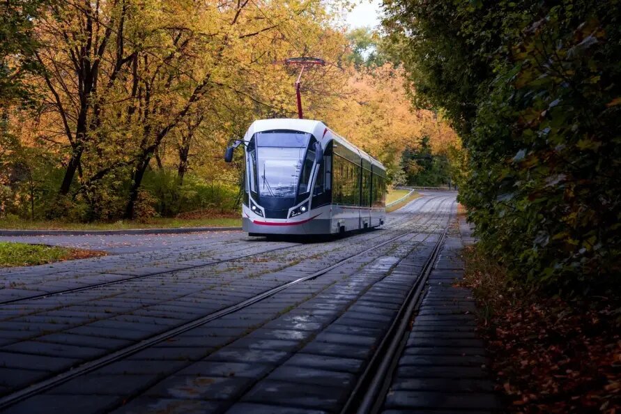    Фото: Коллаж Царьграда