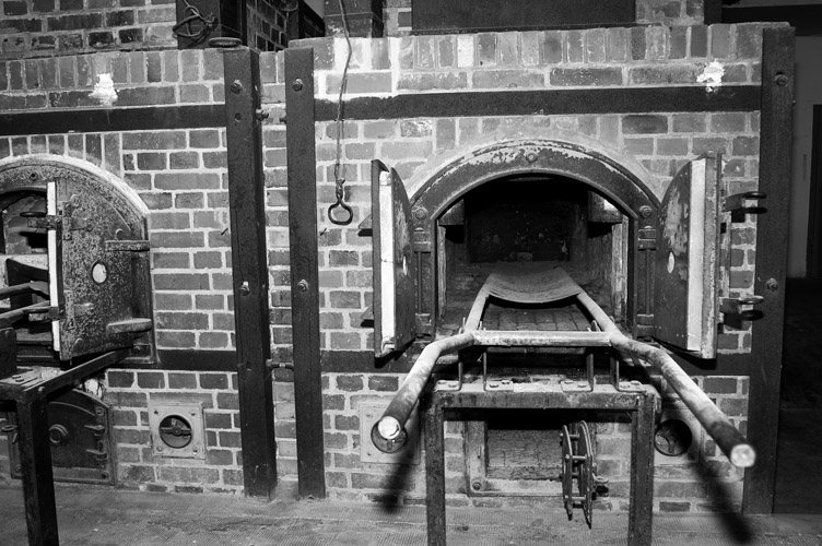 Картинка взята с открытого источника: https://i.playground.ru/p/Vg6Ag9GlFmLXJNmFQZIpTQ.jpeg Картинка взята с сайта: https://i.playground.ru/p/Vg6Ag9GlFmLXJNmFQZIpTQ.jpeg