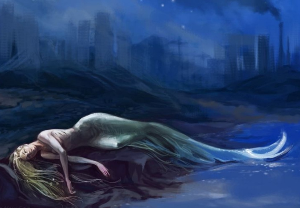 из интернета