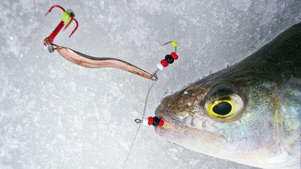 Источник: Яндекс.Картинки, 2024