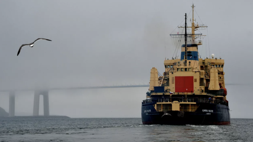    РИА Новости / Виталий Аньков