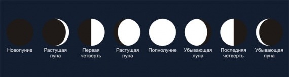 Рост луны в августе 2024. Фазы Луны новолуние. Новолуние рост Луны полнолуние старение. Изменение Луны в течение месяца. Наблюдение за луной в течение месяца