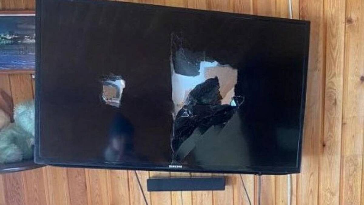    Фото: пресс-служба ГУ МВД России по Красноярскому краю